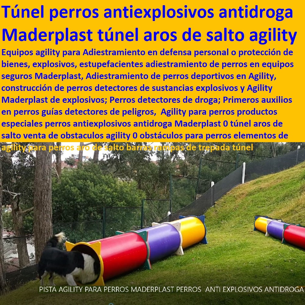 Agility Canino Circuito Entrenamiento de Perros Pista Adiestramientos perros Guías 0 túnel hueco Carrera de Obstáculos Perruna 0 Canes Guías Antiexplosivos Antidroga 0 productos de competiciones agility canino perro policía promedio vida Agility Canino Circuito Entrenamiento de Perros Pista Adiestramientos perros Guías 0 túnel hueco Carrera de Obstáculos Perruna 0 Canes Guías Antiexplosivos Antidroga 0 productos de competiciones agility canino perro policía promedio vida